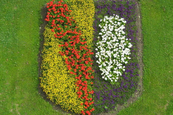 Im Gras sind Blumen in Form des Denzlinger Wappens gepflanzt. Für eine detailreiche Bildbeschreibung wählen Sie die Reisekarte Barrierefreiheit und suchen Sie nach der Überschrift Blumiges Denzlinger Wappen.