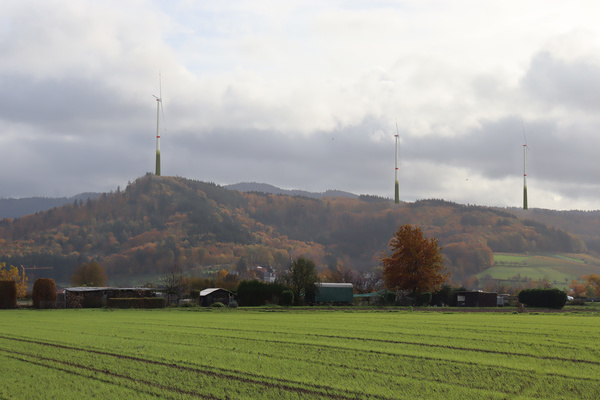 Bewaldeter Hgel mit drei Windrdern