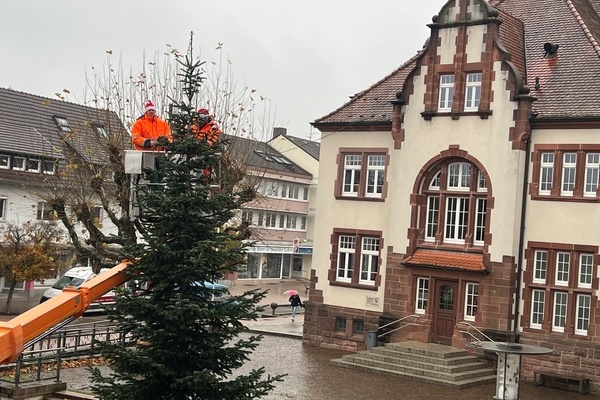 Bauhofmitarbeiter Matthias N&uuml;bling (links) und Mike Winkler bringen die Lichterkette am Christbaum auf dem Rathausplatz an. Foto: Melanie Lackner, Gemeinde Denzlingen