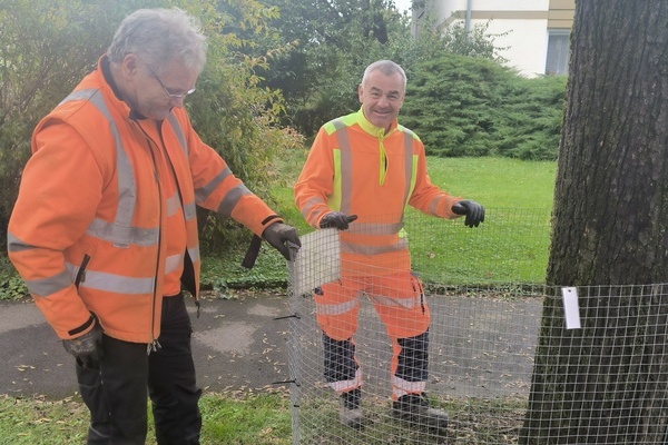 Arno Bche (links) und Robert Hoffmann vom Bauhof-Team stellen in Denzlingen Laubkrbe auf. Foto: Gemeinde Denzlingen