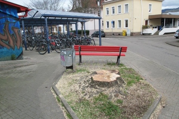 Gefllte Hainbuche am Bahnhof Denzlingen